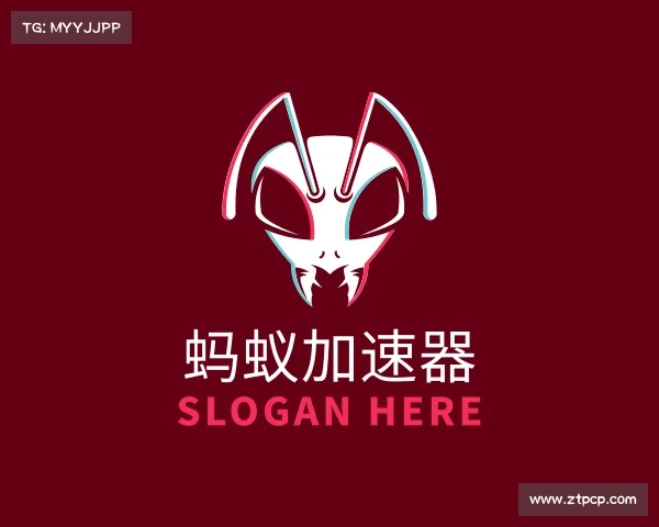 解读蚂蚁加速器